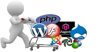 Web Design and Hosting comperfect-Russia